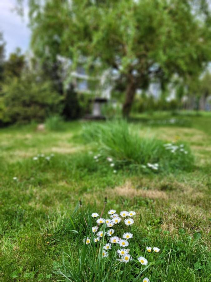 Apartmán Maciejkowa Štetín Exteriér fotografie