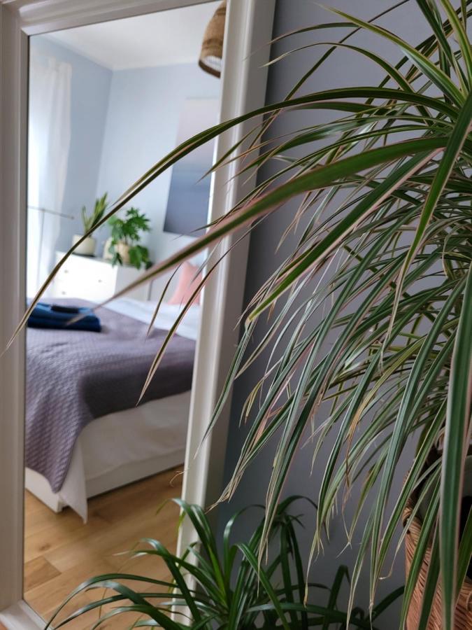 Apartmán Maciejkowa Štetín Exteriér fotografie