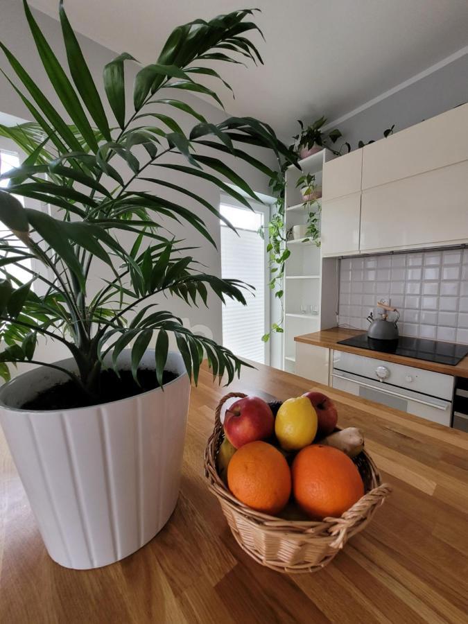 Apartmán Maciejkowa Štetín Exteriér fotografie